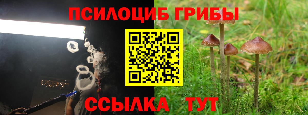 продажа наркотиков  Вход с VPN  Бугуруслан  Псилоцибиновые грибы ЛСД 